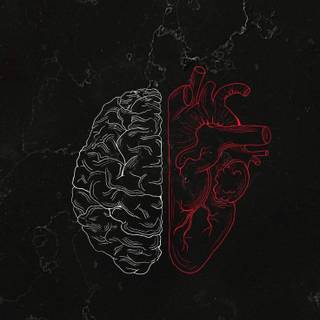 Brain and heart wallpaper