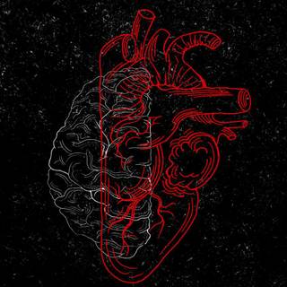 Brain and heart wallpaper