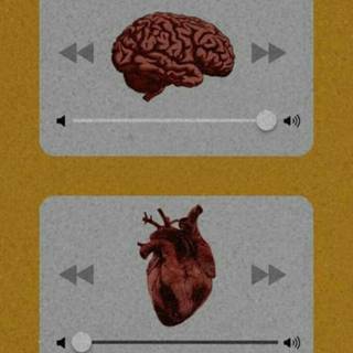 Brain and heart wallpaper