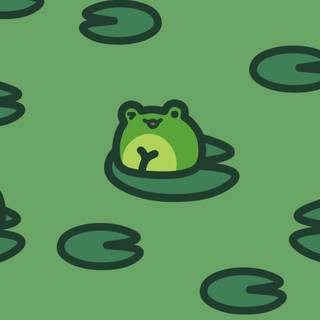 Frog iPhone wallpaper