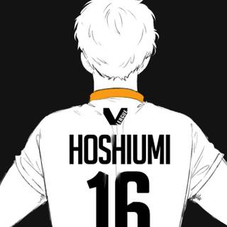 Schweiden Adlers wallpaper