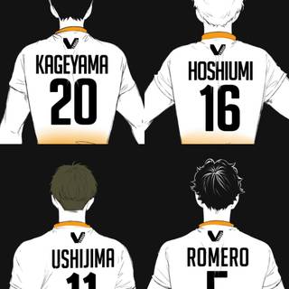 Schweiden Adlers wallpaper