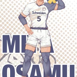 Schweiden Adlers wallpaper