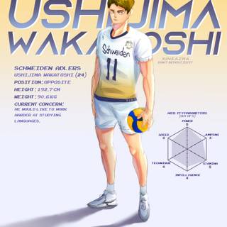 Schweiden Adlers wallpaper