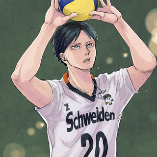 Schweiden Adlers wallpaper