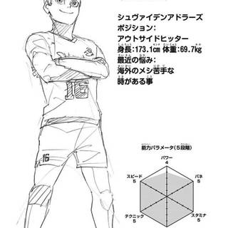 Schweiden Adlers wallpaper