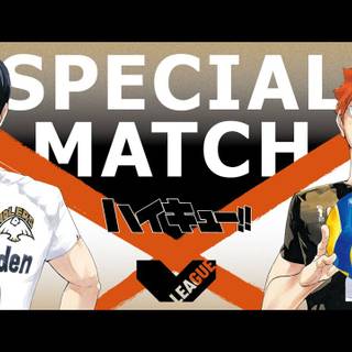 Schweiden Adlers wallpaper