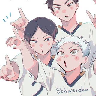 Schweiden Adlers wallpaper