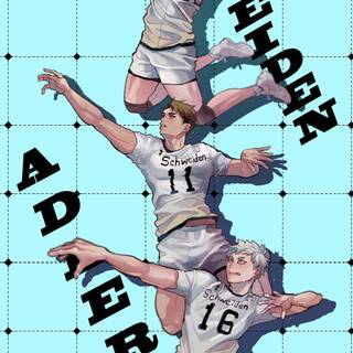 Schweiden Adlers wallpaper