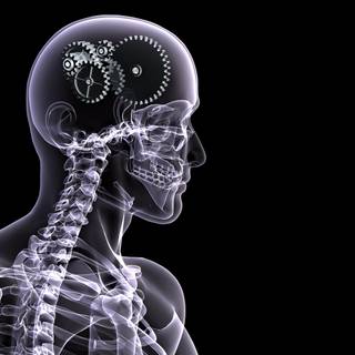 Brain and heart wallpaper