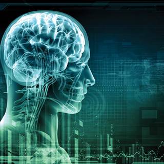 Brain and heart wallpaper