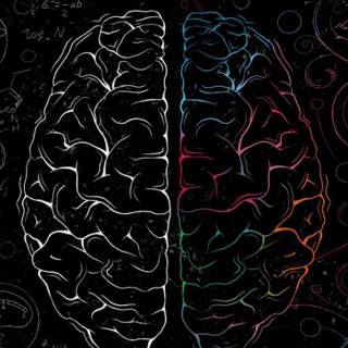 Brain and heart wallpaper