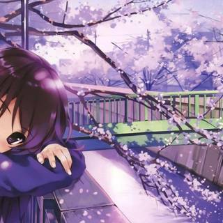 Spring anime mobile wallpaper
