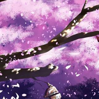 Spring anime mobile wallpaper