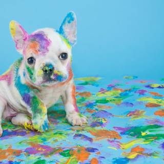 Easter cute dog wallpaper