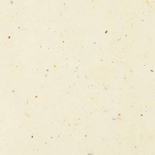 Simple beige wallpaper
