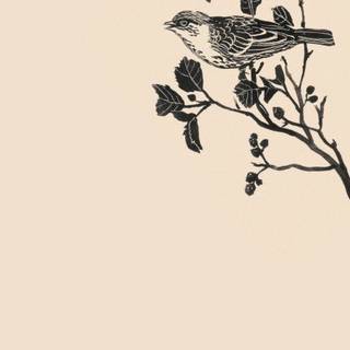 Simple beige wallpaper