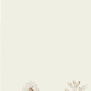 Simple beige wallpaper