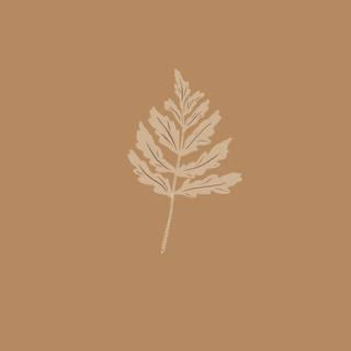 Simple beige wallpaper