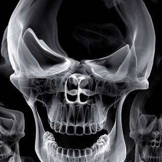 Smoking skeleton wallpaper