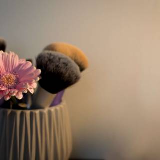 Makeup brush wallpaper