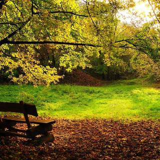 Peaceful spring wallpaper