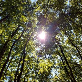 Peaceful spring wallpaper