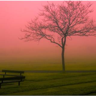 Peaceful spring wallpaper