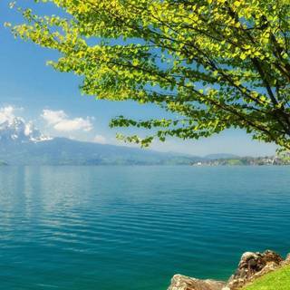 Peaceful spring wallpaper