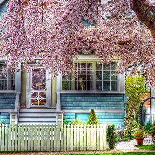 Peaceful spring wallpaper