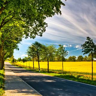 Peaceful spring wallpaper