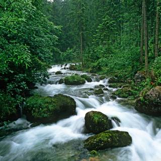 Peaceful spring wallpaper