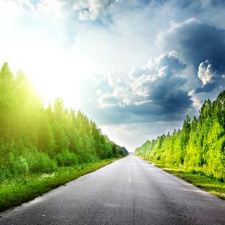 Peaceful spring wallpaper