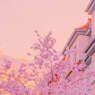 Peaceful spring wallpaper