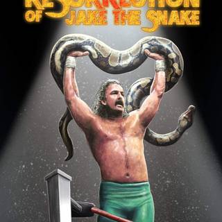 Jake The Snake wallpaper