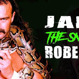 Jake The Snake wallpaper