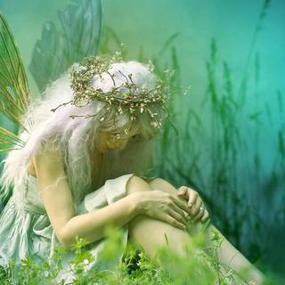 Green fairy wallpaper