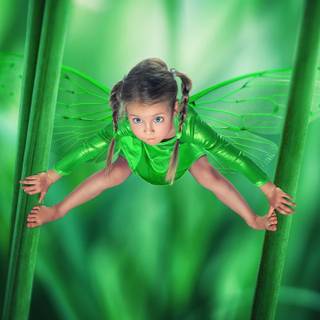 Green fairy wallpaper