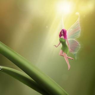 Green fairy wallpaper
