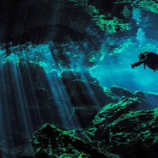 Scuba diver 4k wallpaper