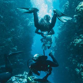 Scuba diver 4k wallpaper