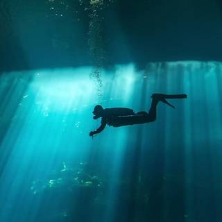 Scuba diver 4k wallpaper