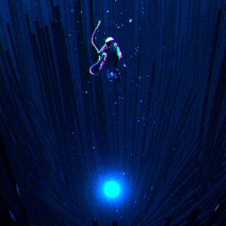 Scuba diver 4k wallpaper