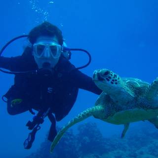 Scuba diver 4k wallpaper