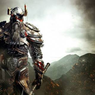 The Elder Scrolls Online Viking wallpaper