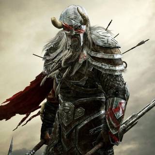 The Elder Scrolls Online Viking wallpaper