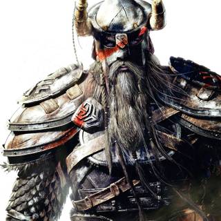 The Elder Scrolls Online Viking wallpaper