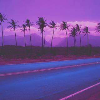Summer purple aesthetic wallpaper