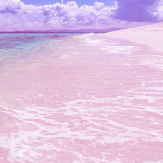 Summer purple aesthetic wallpaper