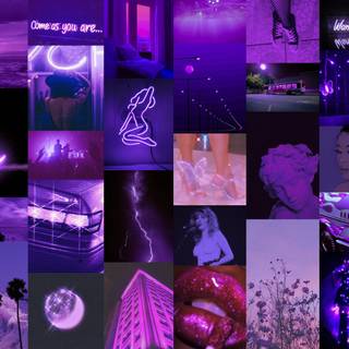 Summer purple aesthetic wallpaper